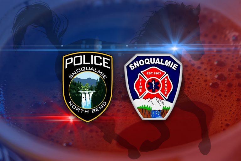 Banner featuring Snoqualmie Emergency Services in support of their commitment to our community.