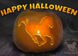 A Happy Halloween banner featuring a jack-o-lantern pumpkin with the dark horse brew logo carved out of it, illuminated by a candle.